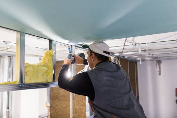 Best Fiberglass Insulation in Blue Ridge, AL