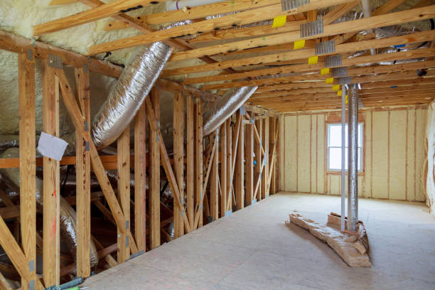 Best Insulation Maintenance and Repair in Blue Ridge, AL